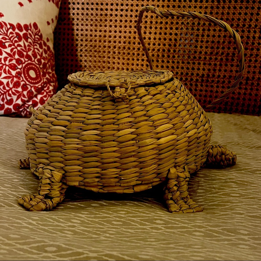 Mexican Woven Turtle Purse